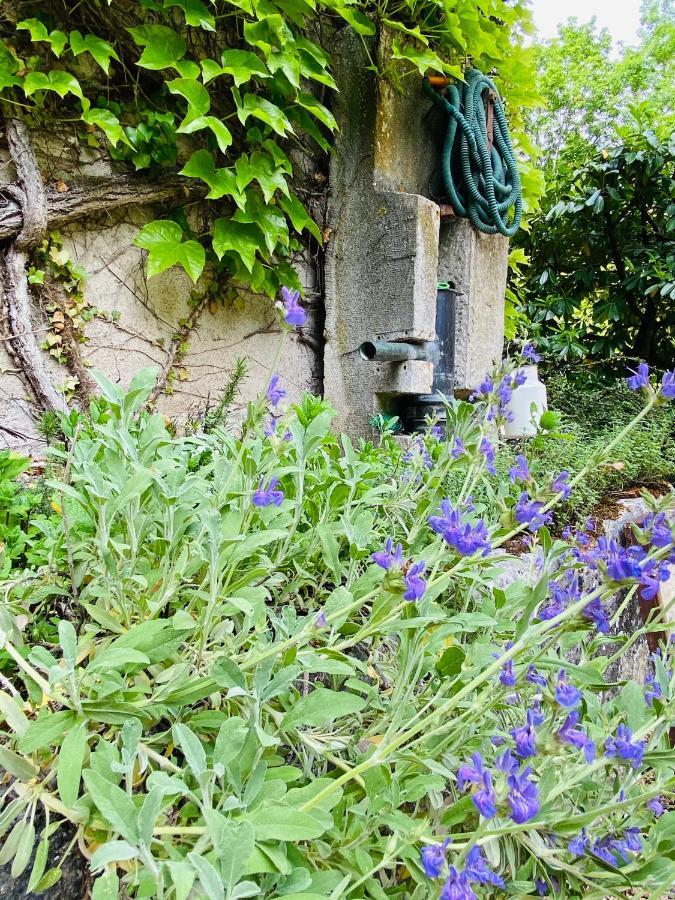 Les Chambres D'Hotes Du Bois Joli Semur-en-Auxois Buitenkant foto