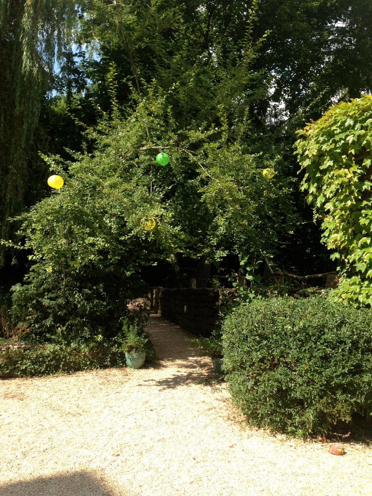 Les Chambres D'Hotes Du Bois Joli Semur-en-Auxois Buitenkant foto